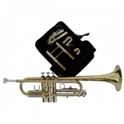 Trompeta J. Michael (DO-SIb)