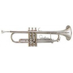 Trompeta Amadeus TP807