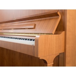 Piano vertical P 125 F1