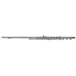 Flauta Azumi AZ-S3RBE GB3