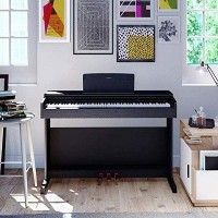 Pianos Digitales